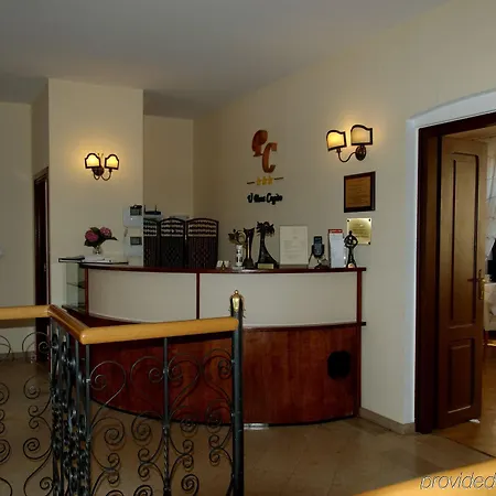 U Pana Cogito ゲストハウス 3*