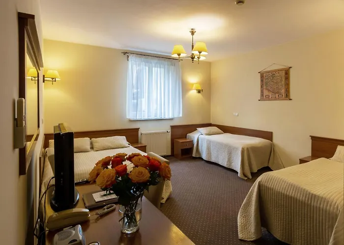 U Pana Cogito Guest house 3*